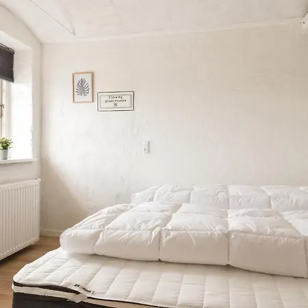 Tatil Evi Cozy In With House A Panoramic View Ringkøbing